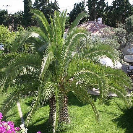 ספצס Villa Martha מראה חיצוני תמונה