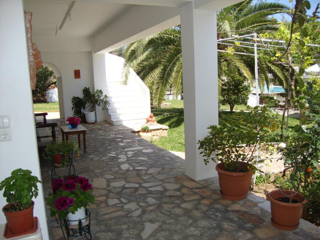 ספצס Villa Martha מראה חיצוני תמונה