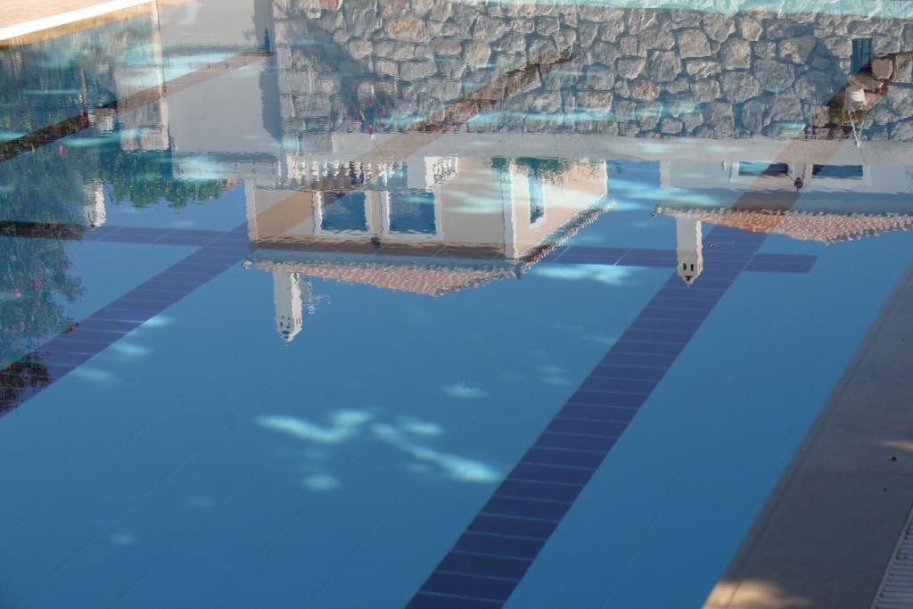 ספצס Villa Martha מראה חיצוני תמונה