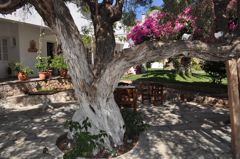 ספצס Villa Martha מראה חיצוני תמונה